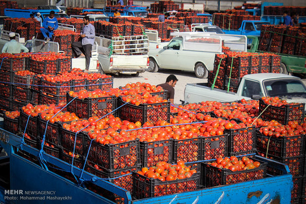 نوسانات قیمت محصولات کشاورزی در آذربایجان شرقی کنترل می شود