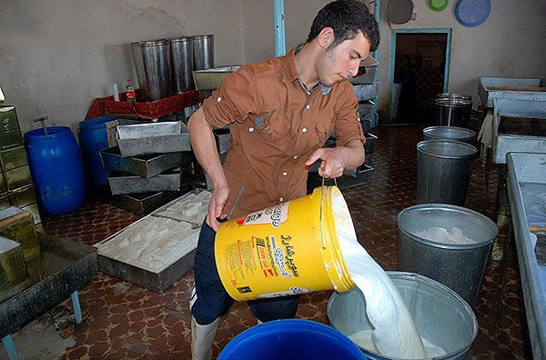 پساب کارگاههای پنیر سازی سنتی در بستان آباد مشکلات بهداشتی ایجاد می کند